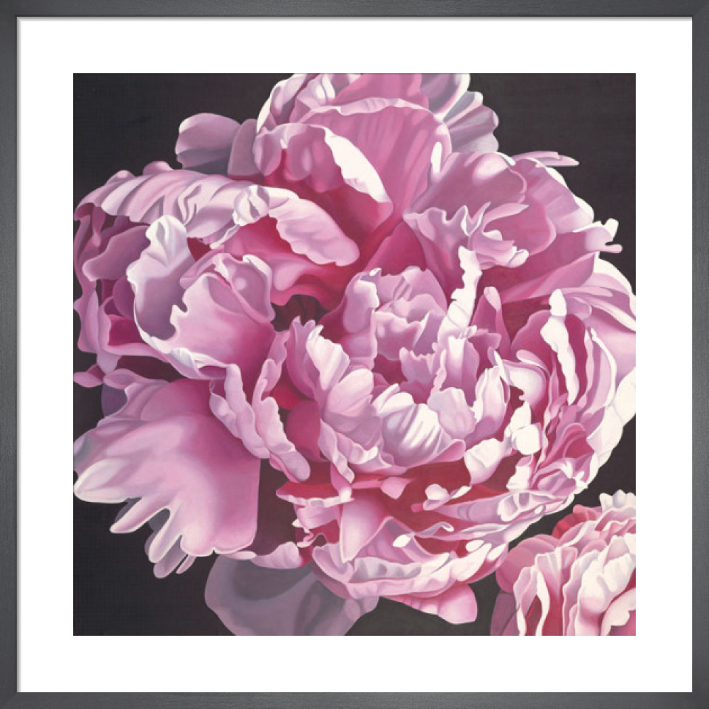 Peony I