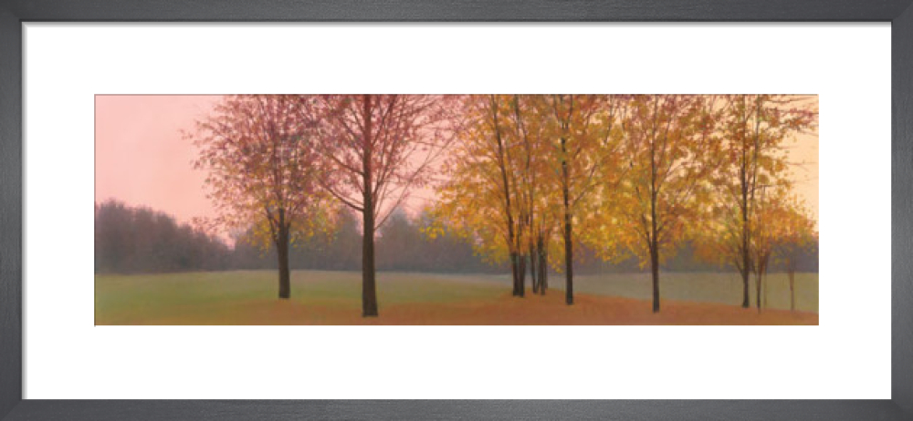 Autumn Dawn, Maples
