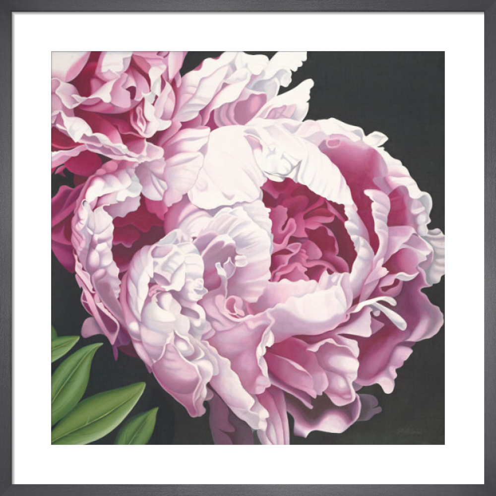 Peony II