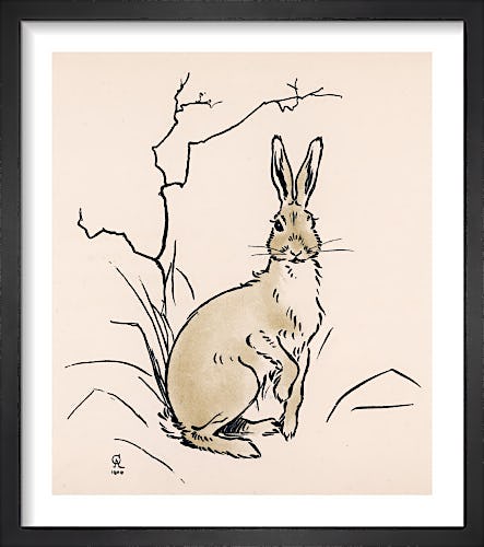 Alert Hare, 1902 by Cecil Aldin