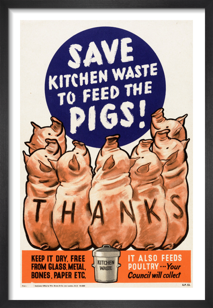 Save Kitchen Waste to Feed the Pigs!