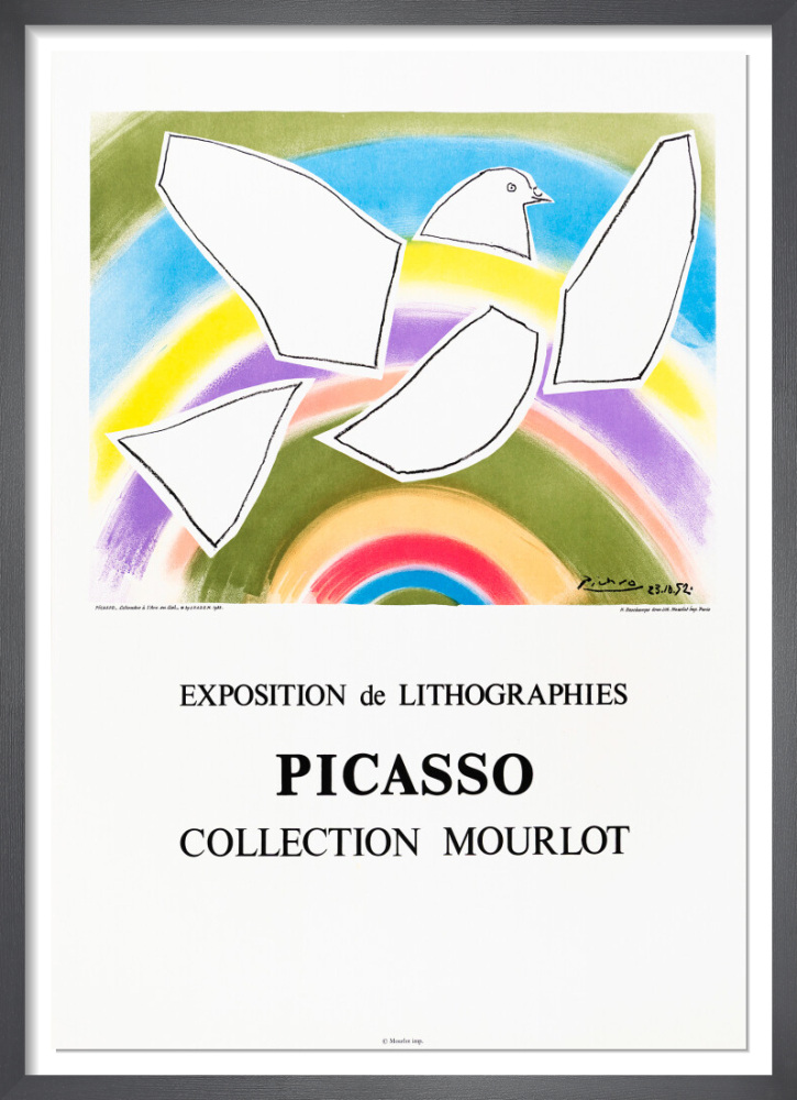 The Rainbow Dove, 1988