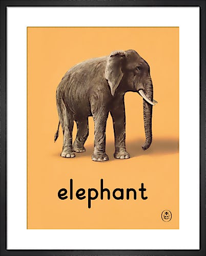 elephant by Ladybird Books'