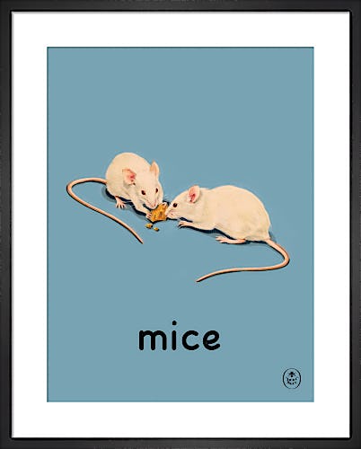 mice by Ladybird Books'