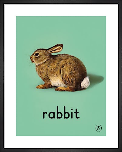 rabbit by Ladybird Books'