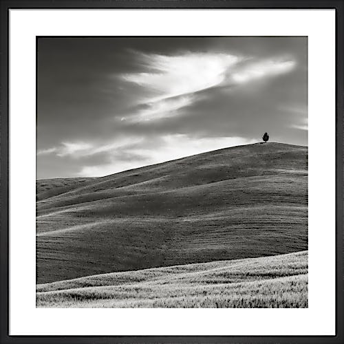 A Hill in Tuscany by Doug Chinnery