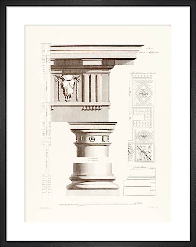 Orders of Architecture: The Doric Order by Sir William Chambers