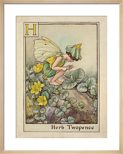 Herb Twopence Fairy by Cicely Mary Barker