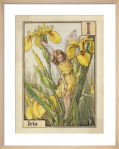 Iris Fairy by Cicely Mary Barker