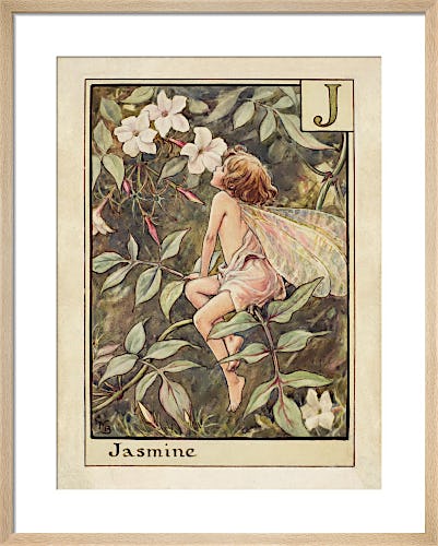 Jasmine Fairy by Cicely Mary Barker