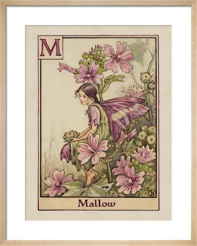 Mallow Fairy by Cicely Mary Barker