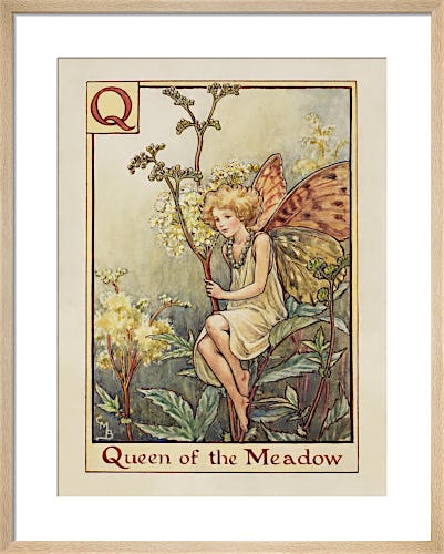 Queen of the Meadow Fairy by Cicely Mary Barker
