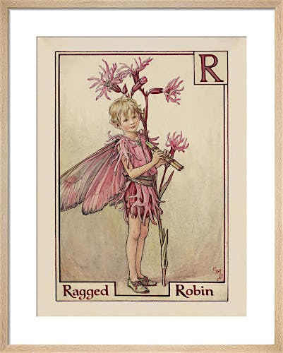 Ragged Robin Fairy by Cicely Mary Barker