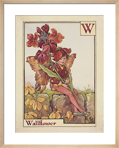 Wallflower Fairy by Cicely Mary Barker