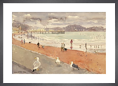 The English Seaside by Lucy Willis