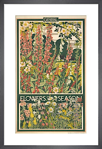 Flowers of the season, 1933 by Walter E Spradbery