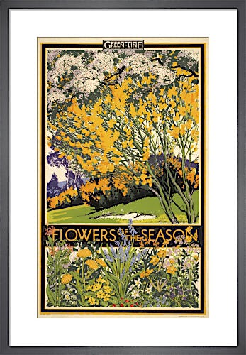 Flowers of the season, 1933 by Walter E Spradbery