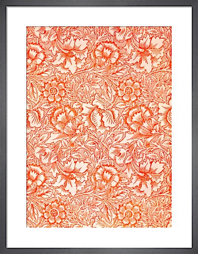 Pink and Poppy by William Morris