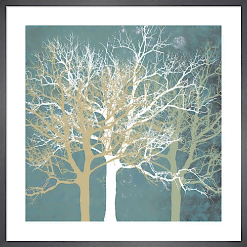 Tranquil Trees by Erin Clark