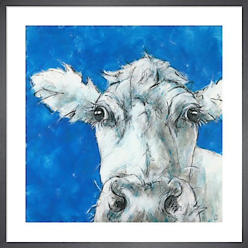 Cow on Blue 3 by Nicola King