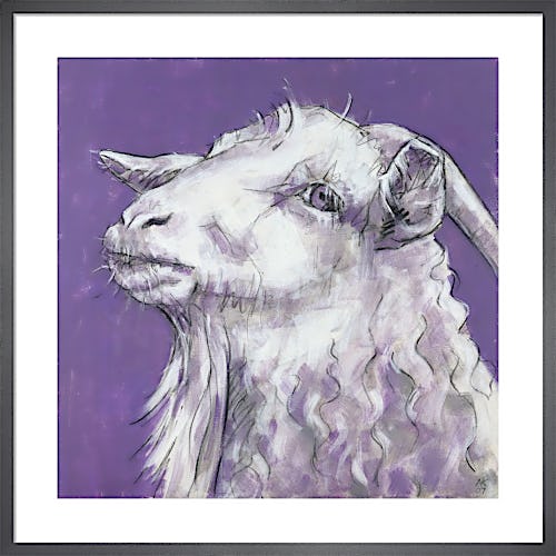 Sheep on Purple by Nicola King