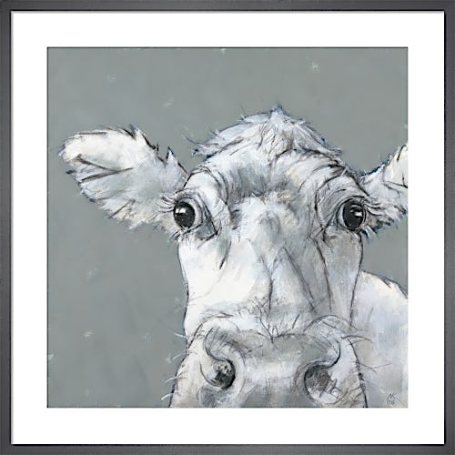 Cow on Grey by Nicola King