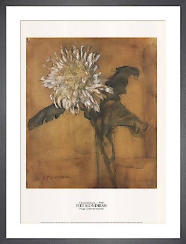 Chrysanthemum, c.1900 by Piet Mondrian