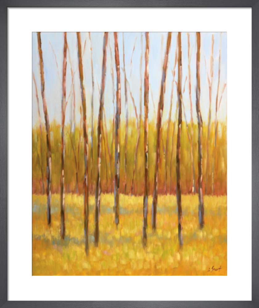 Tall Trees II (right)