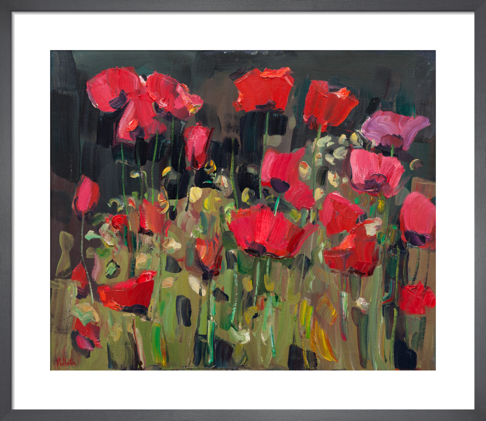 Poppies in the Garden