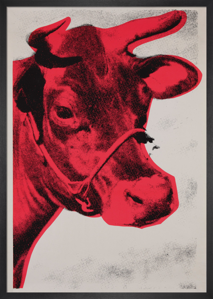 Cow, 1976 (Special Edition)