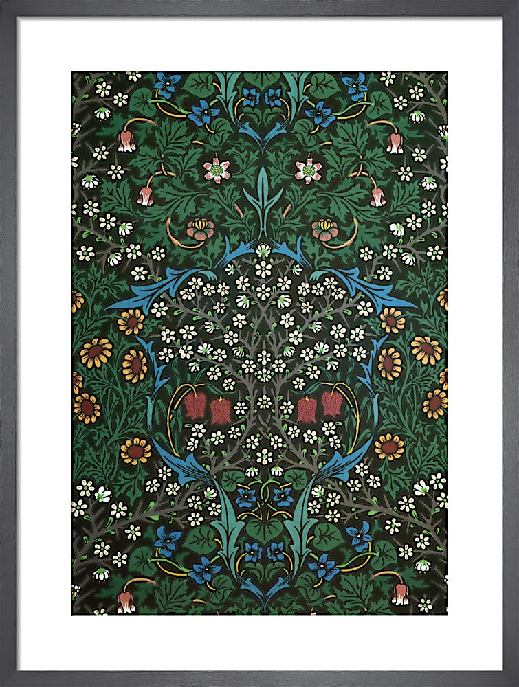 Collection - William Morris Gallery