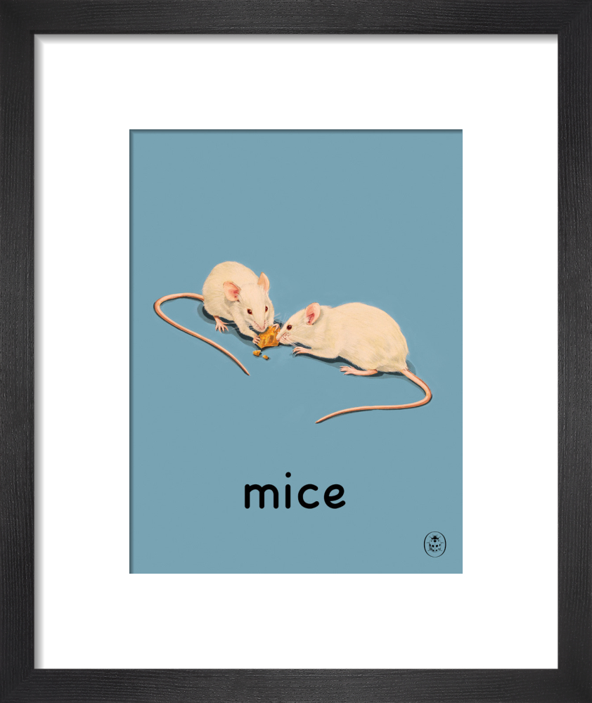 mice