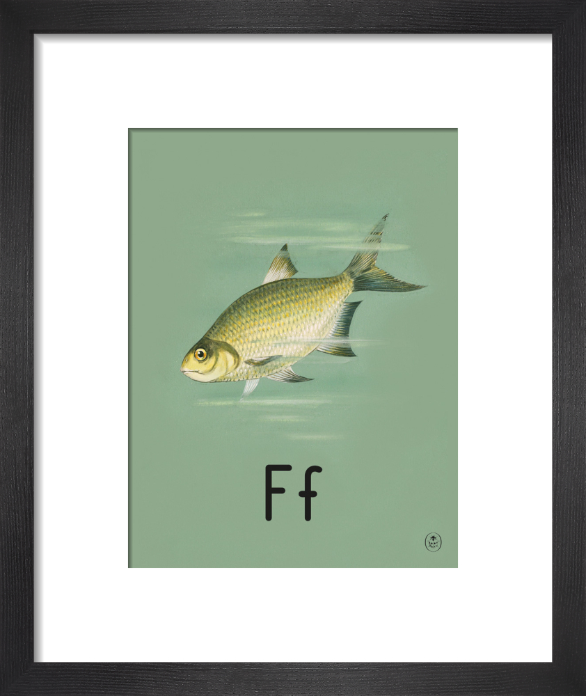 F is for fish