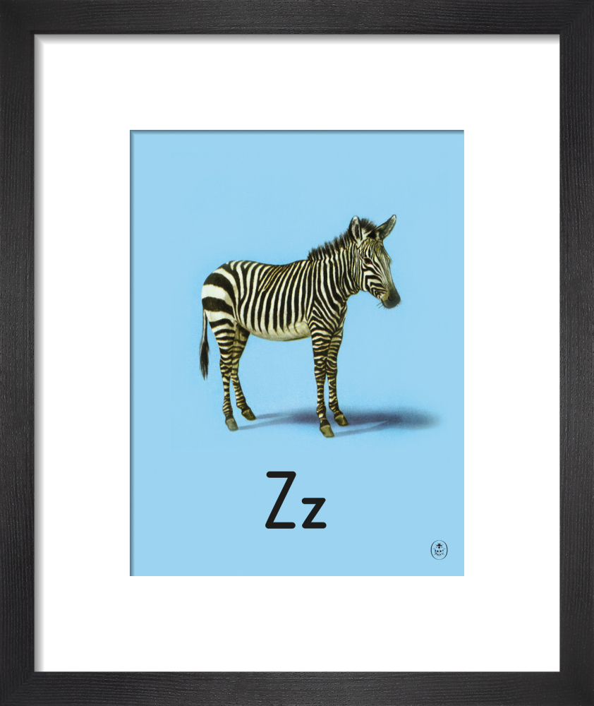 Z is for zebra