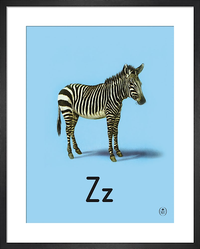 Rainbow Zebra: A Children's Book Written & Illustrated by Children