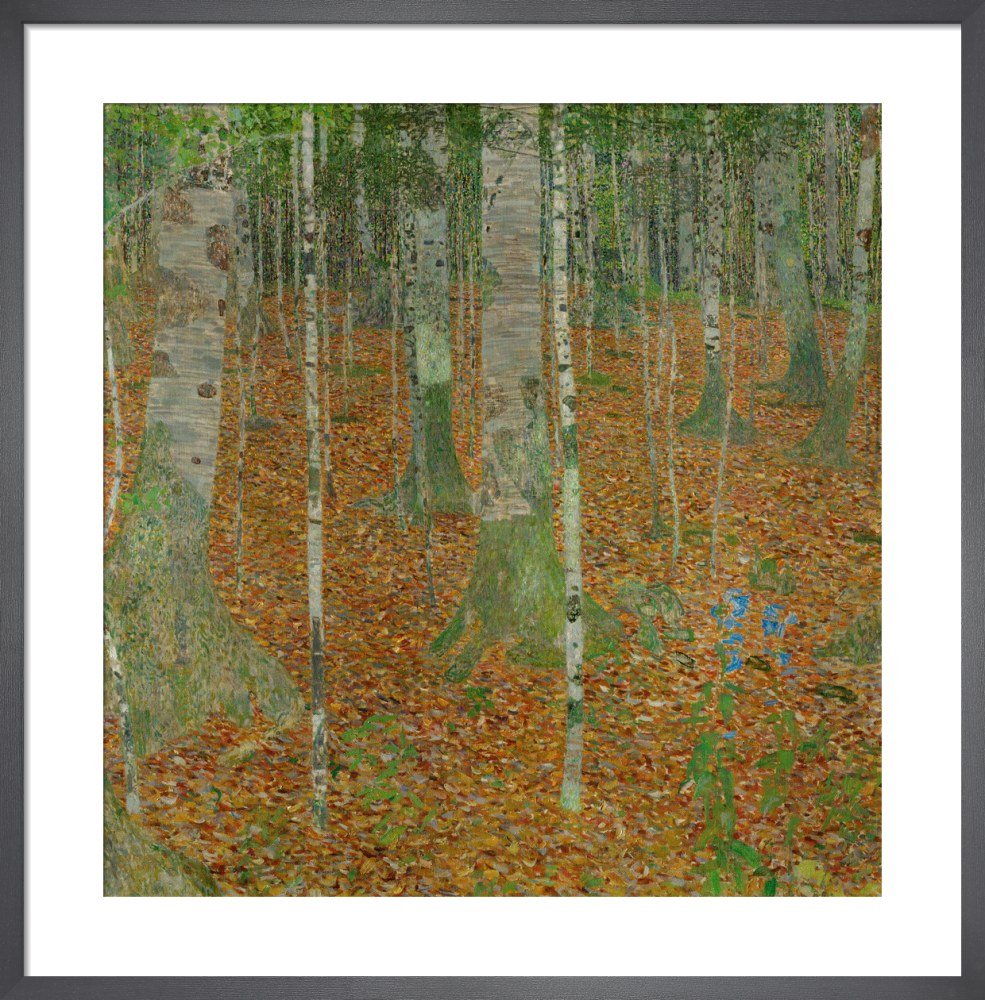 Birch Forest, 1903