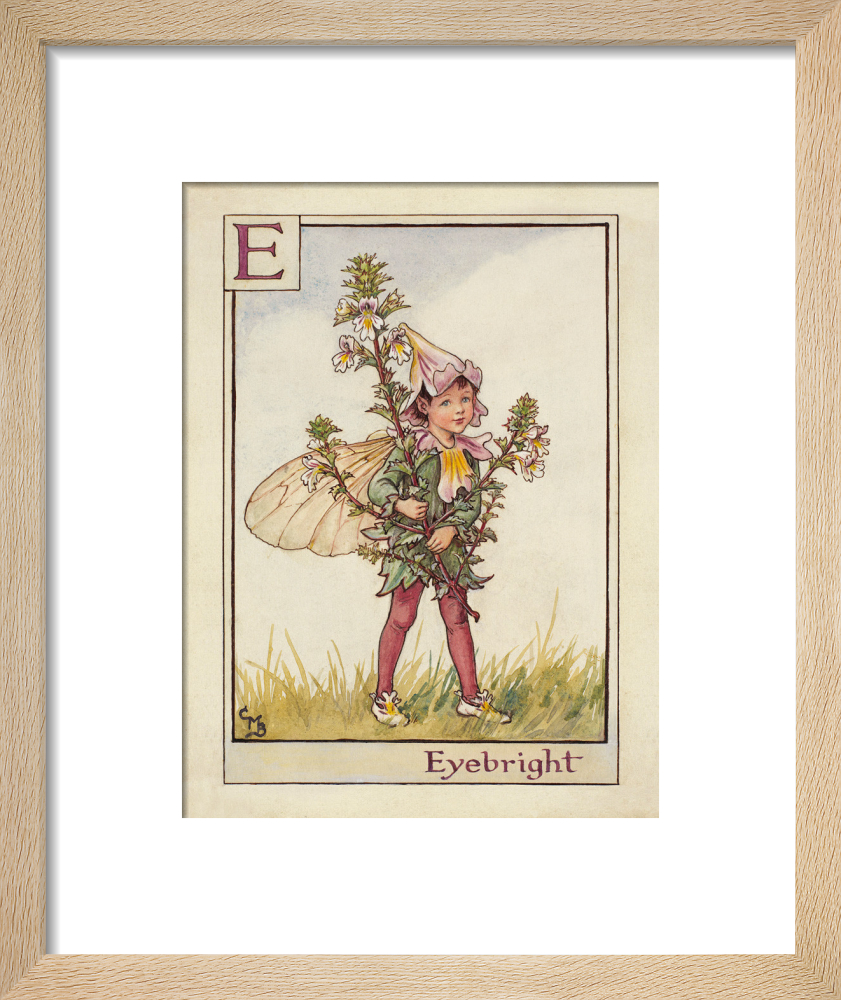 Eyebright Fairy