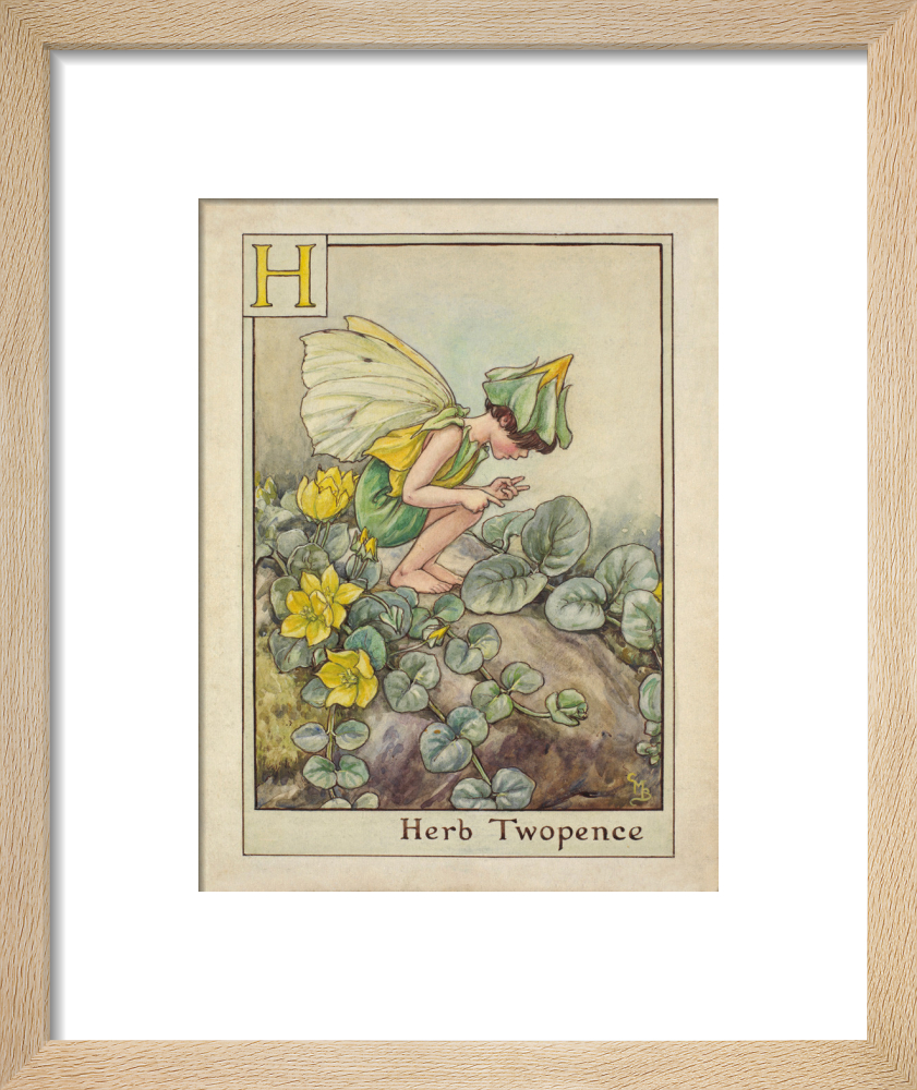 Herb Twopence Fairy