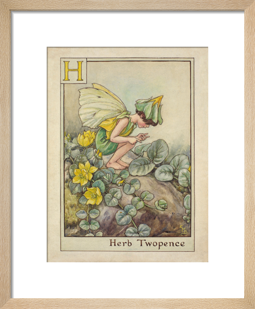 Herb Twopence Fairy