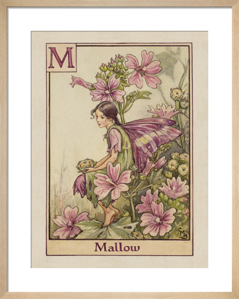 Mallow Fairy