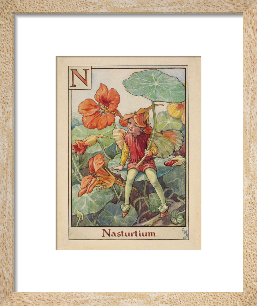 Nasturtium Fairy