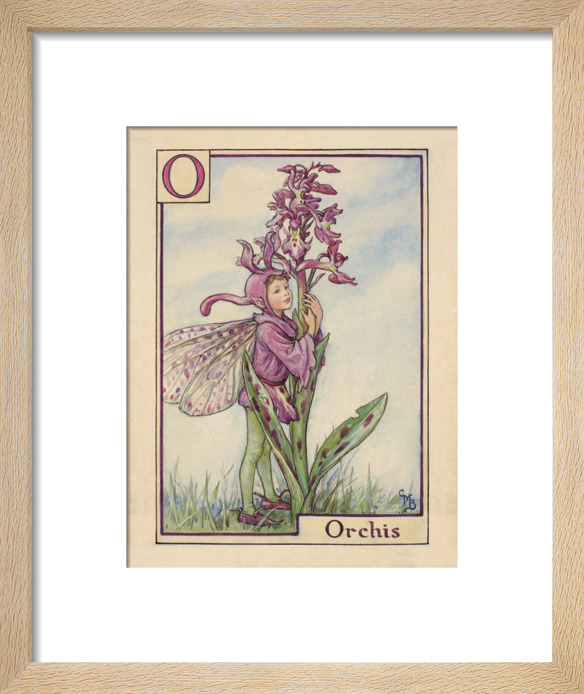 Orchis Fairy