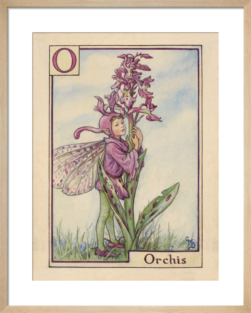 Orchis Fairy