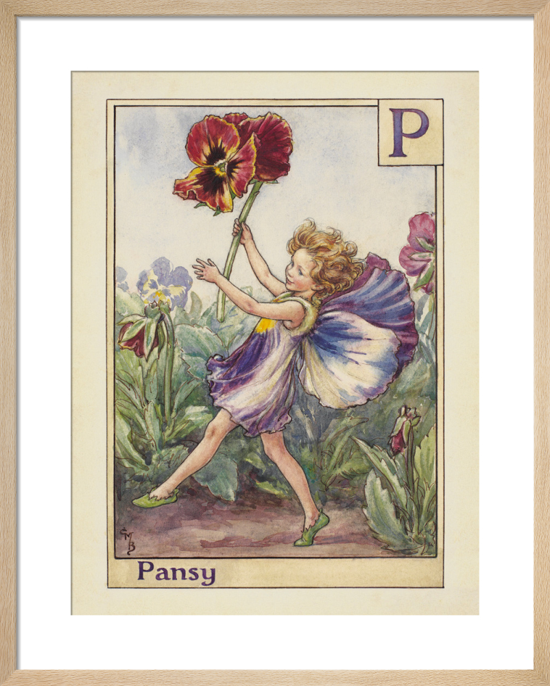 Pansy Fairy