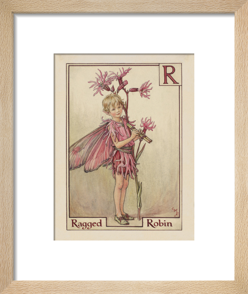 Ragged Robin Fairy