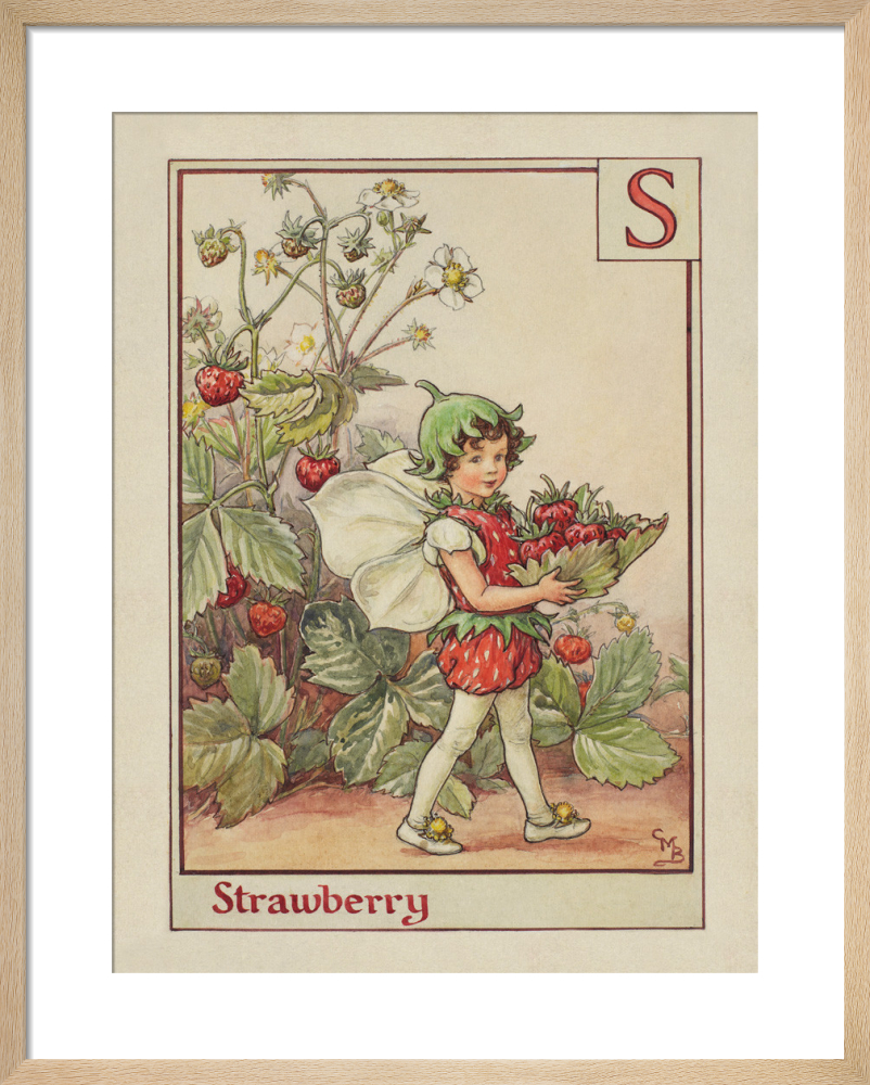 Strawberry Fairy