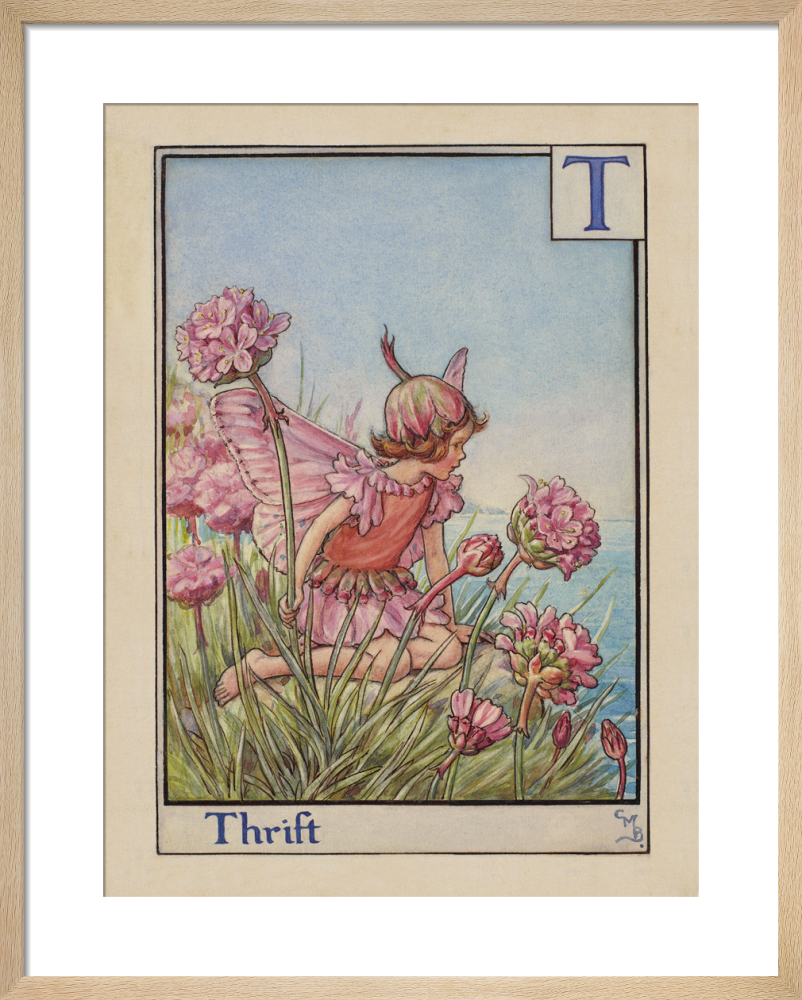 Thrift Fairy
