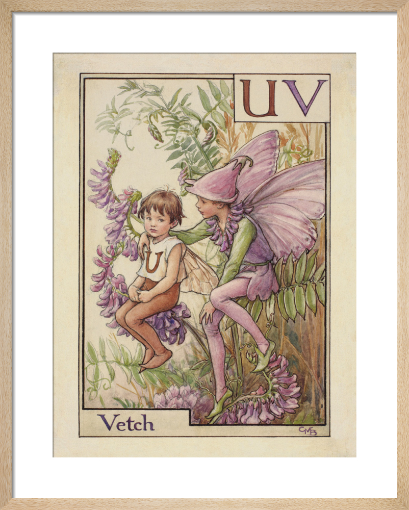 Vetch Fairy