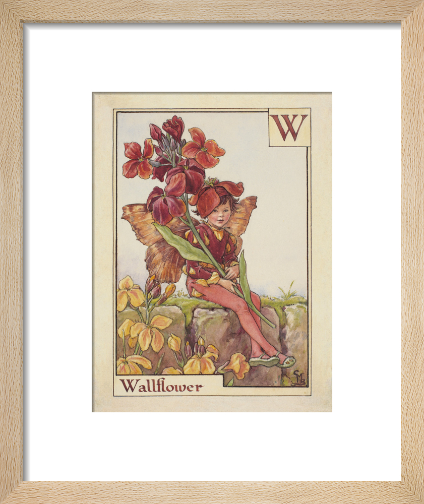 Wallflower Fairy