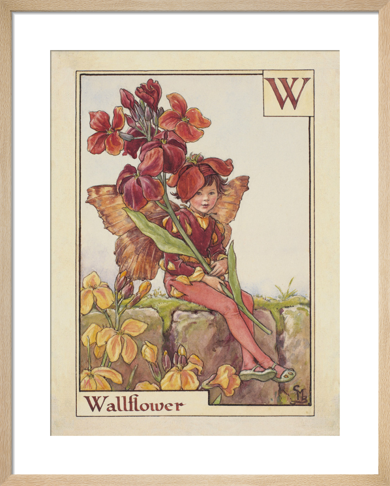 Wallflower Fairy